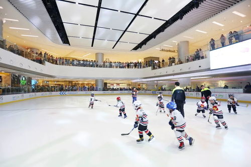 冬日陽光下的時(shí)髦心事 運(yùn)動(dòng)項(xiàng)目經(jīng)營者的城事隨想